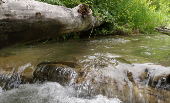 A rock ledge in a stream, an example of suitable fish habitat.